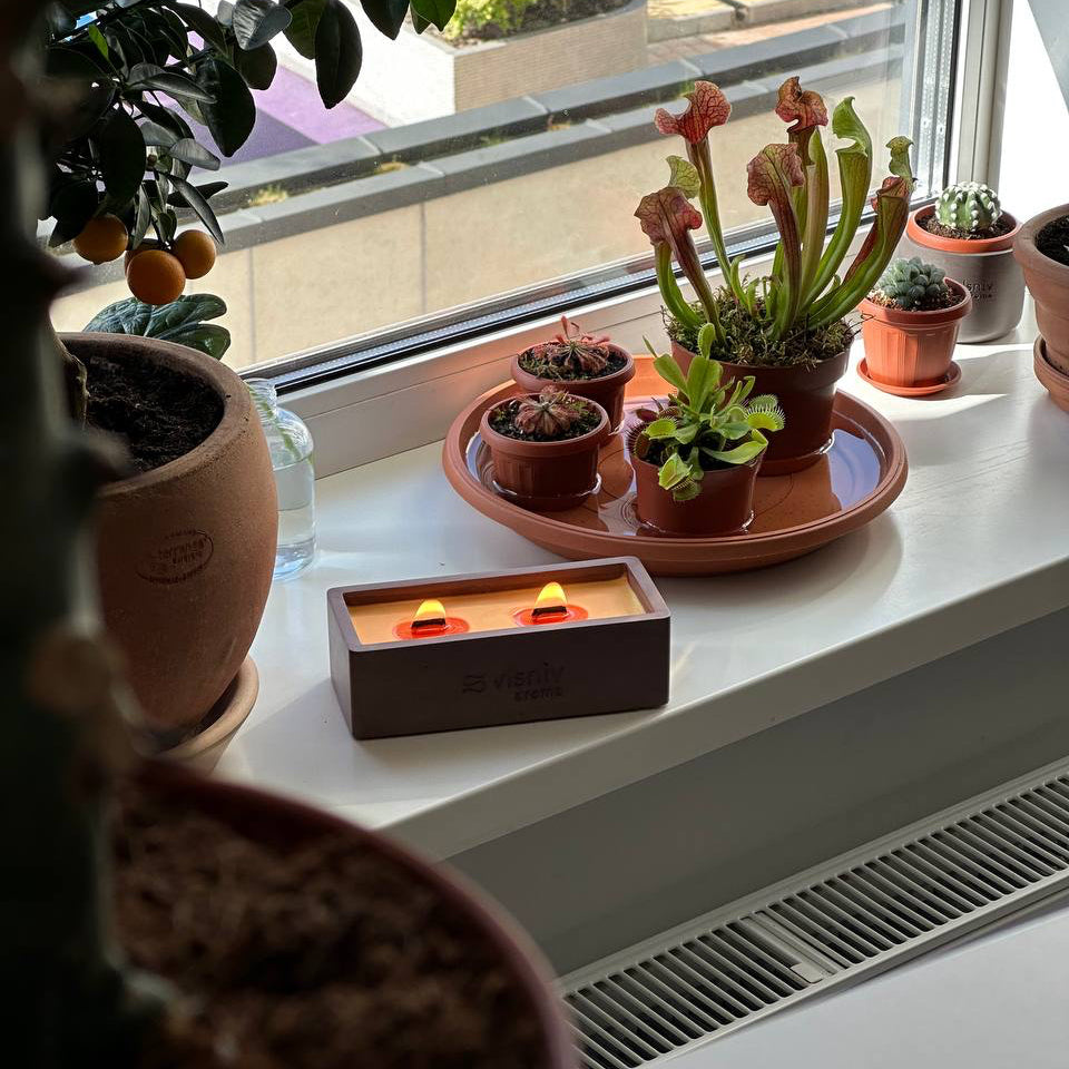 Соєва свічка «Nectar Noir» ванночка, 320 г — сандал, шафран та чорна слива