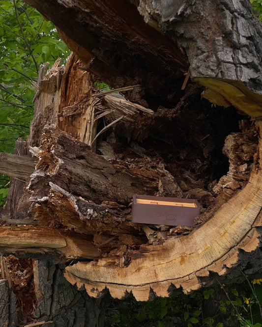 СВІЧКА СОЄВА «Ретрит у Карпатах», ВАННОЧКА, 320 Г