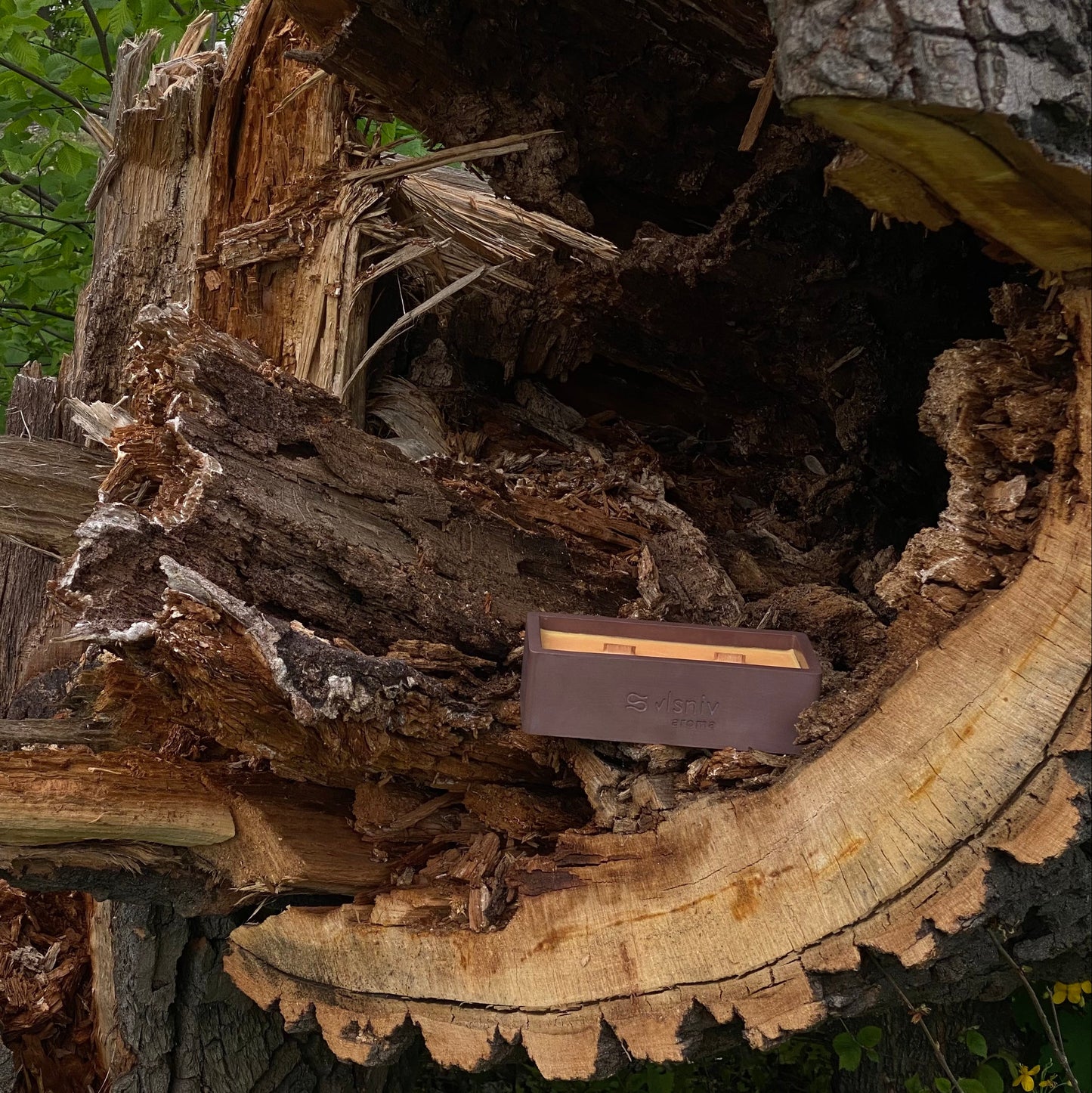 Соєва свічка «Ретрит у Карпатах» ванночка, 320 г — кедр, ялиця та мох