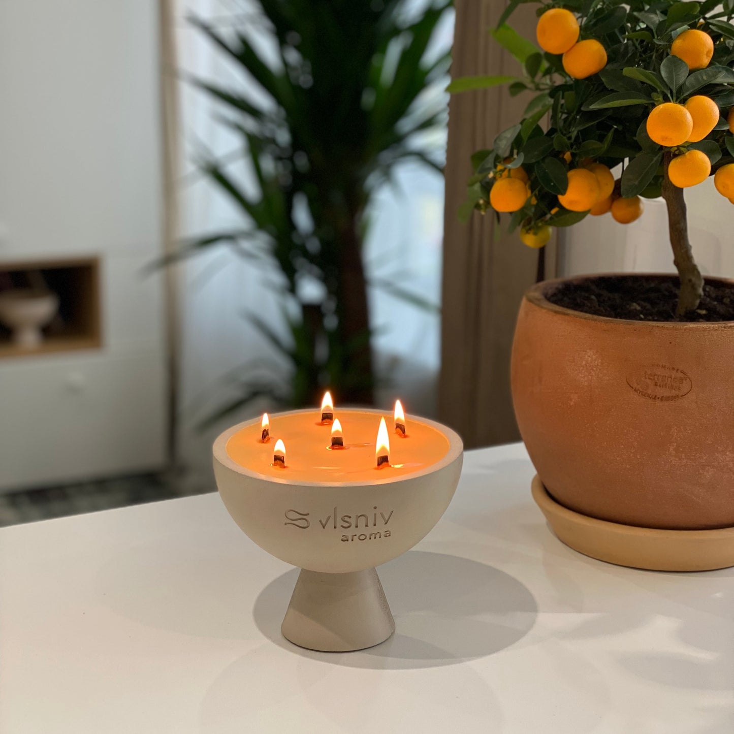 Соєва свічка «Situationship» чаша, 520 г — вишня, червоне вино та амбра