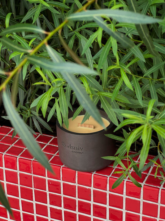 СВІЧКА СОЄВА "Ретрит у Карпатах" ЦИЛІНДР, 220 Г